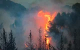 Illustration : Un gigantesque incendie de forêt près de Latroun, à la périphérie de Jérusalem, le 30 avril 2025. (Crédit : Yossi Zamir/Flash90)