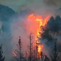 Illustration : Un gigantesque incendie de forêt près de Latroun, à la périphérie de Jérusalem, le 30 avril 2025. (Crédit : Yossi Zamir/Flash90)
