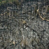 Vue aérienne des dommages causés à la forêt du parc Canada, ravagée par de violents incendies, non loin des collines de Jérusalem, il y a de cela quelques jours, sur une photo prise le 3 mai 2025. (Crédit : Edi Israël/Flash90)