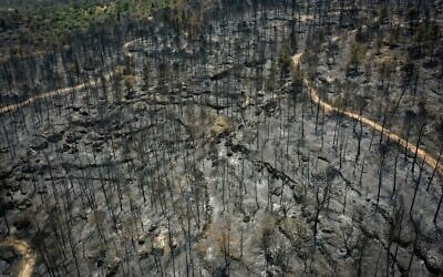 Vue aérienne des dommages causés à la forêt du parc Canada, ravagée par de violents incendies, non loin des collines de Jérusalem, il y a de cela quelques jours, sur une photo prise le 3 mai 2025. (Crédit : Edi Israël/Flash90)