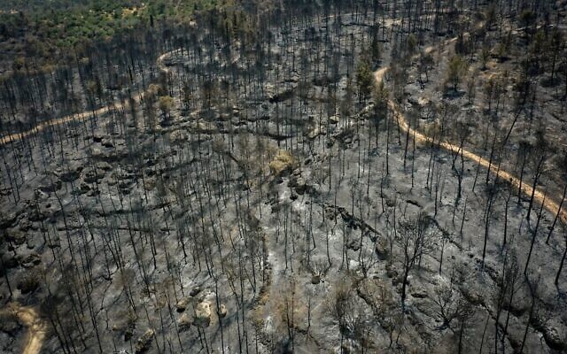 Vue aérienne des dommages causés à la forêt du parc Canada, ravagée par de violents incendies, non loin des collines de Jérusalem, il y a de cela quelques jours, sur une photo prise le 3 mai 2025. (Crédit : Edi Israël/Flash90)