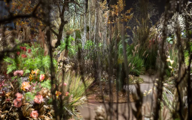« The Garden » au Musée d'art de Tel Aviv par Yael Moria Studio MA (Crédit : Daniel Henoch)