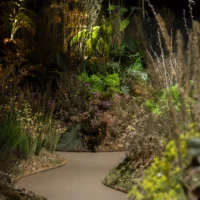 « The Garden » au Musée d'art de Tel Aviv par Yael Moria Studio MA (Crédit : Daniel Henoch)