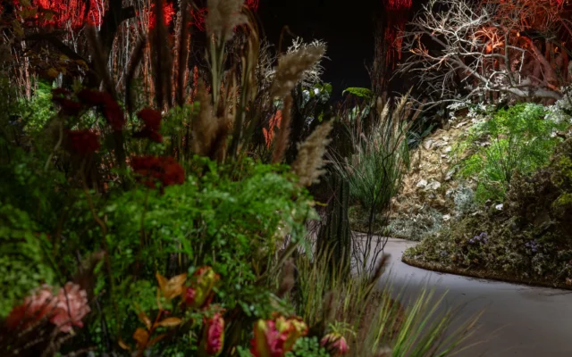 « The Garden » au Musée d'art de Tel Aviv par Yael Moria Studio MA (Crédit : Daniel Henoch)