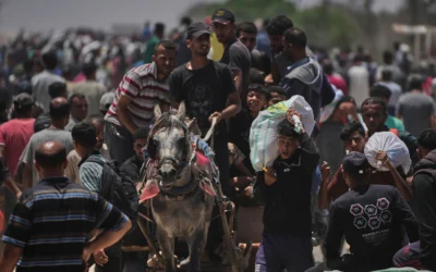 Des Palestiniens transportent des sacs contenant de la nourriture et des colis d'aide humanitaire livrés par la Fondation humanitaire de Gaza,  Rafah, dans le sud de la bande, le 9 juin 2025. (Crédit : AP Photo/Abdel Kareem Hana)