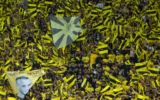 La finale de la Coupe israélienne entre l'Hapoel Beersheba et le Beitar Jerusalem au stade Bloomfield de Tel Aviv, le 29 mai 2025. (Crédit : Oren Ben Hakoon/Flash90)