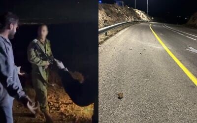 Montage de photos : Le commandant du 7114ᵉ bataillon de la brigade régionale de Binyamin se querellant avec des résidents d’implantations, près du village de Kafr Malik, en Cisjordanie ; des pierres lancées par des résidents d’implantations dans la région, le 28 juin 2025. (Crédit : Autorisation)