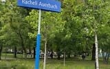 La place nommée en l’honneur de Rachel Auerbach à Varsovie. (Crédit : Vidal Binder)