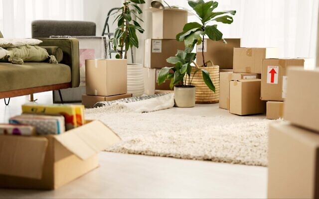 Illustration. Cartons de déménagement. (Crédit : Jacob Wackerhausen via iStock)