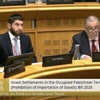 Le Grand Rabbin d'Irlande, le rabbin Yoni Wieder (à gauche), et le président du Conseil représentatif des Juifs d'Irlande, Maurice Cohen, s'exprimant lors d'une session de la commission des Affaires étrangères du Parlement irlandais, le 15 juillet 2025. (Crédit : Capture d'écran/Parlement irlandais)