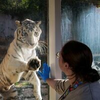 Le zoo éducatif de Haïfa (Louis Ariel Goldschmidt Zoo) compte plus de 100 espèces animales, dont des primates, des reptiles, des oiseaux, des prédateurs et des herbivores, le 23 octobre 2024. (Crédit : Michael Giladi/Flash90)