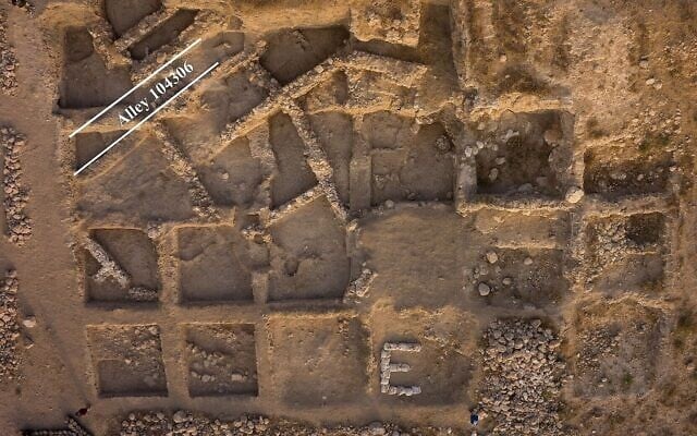 Vue aérienne verticale de la zone E des fouilles de la Gath biblique (Tell es-Safi moderne), où un âne a été trouvé dans un quartier de l'âge du bronze ancien (Crédit : Skyview Inc.).