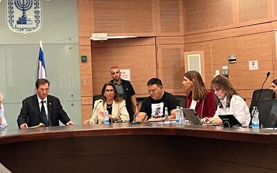 Réunion de la commission des Affaires étrangères et de la Défense de la Knesset sur le manque d'équipement militaire adéquat pour les soldates, le 8 juillet 2025. (Crédit : Tal Schneider/Times of Israel)
