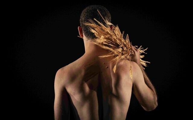 La troupe d'Adi Boutrous interprétera "Sunset" à Tel Aviv Dance, qui aura lieu du 6 au 16 août 2025 (Crédit : Asia Skorik)