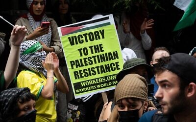 Des manifestants socialistes anti-Israël à New York, le 5 juin 2024. (Crédit : Luke Tress/Times of Israel)