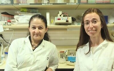 La Pr. Nathalie Q. Balaban (à gauche) et la Dr. Raya Faigenbaum-Romm, dans le laboratoire de microbiologie de Balaban, à l'Institut Racah de l'Université hébraïque de Jérusalem. (Crédit : Zohar Binyamin)