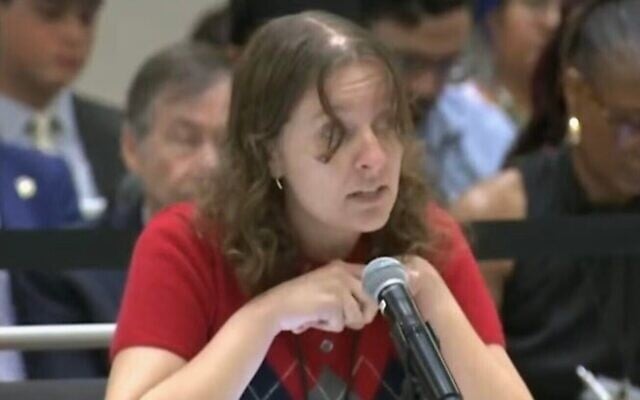 Allison Minnerly, nouvelle membre du Comité national démocrate issue de la génération Z et originaire de Floride, défend une résolution visant à bloquer les ventes d’armes à Israël et à reconnaître un État palestinien, le 26 août 2025 (Crédit : Capture d’écran/JTA)