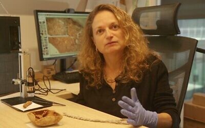 Le Dr Naama Sukenik, conservatrice en charge des artefacts organiques à l'Autorité des antiquités d'Israël, sur une photo publiée le 31 août 2025 (Crédit : Emil Aladjem/Autorité des antiquités d'Israël)