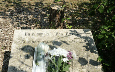 Une stèle commémorative et le tronc d'un olivier, vraisemblablement scié à la tronçonneuse, qui avait été planté en 2011 devant un mémorial dédié à Ilan Halimi, dont la mort avait provoqué un choc général en France, à Épinay-sur-Seine, dans la banlieue parisienne, le 15 août 2025. (Crédit : Dimitar Dilkoff/AFP)