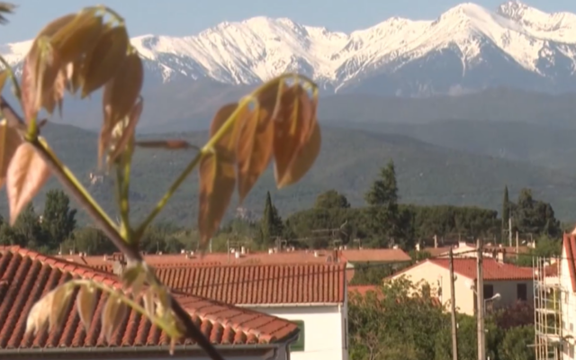 Illustration : Les Pyrénées. (Crédit : Capture d'écran)