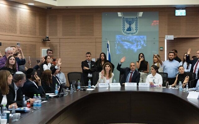 Les députés votent lors d'une réunion de la commission parlementaire à la Knesset, le 4 août 2025. (Crédit : Yonatan Sindel/Flash90)