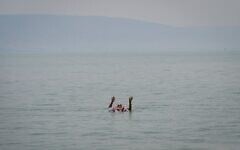 Un Israélien se laisse flotter sur le lac de Tibériade au milieu d'une vague de chaleur, le 14 août 2025. (Crédit : Michael Giladi/Flash90)