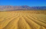 Des lignes de chemin de fer pourraient traverser la réserve naturelle de Samar Sands, dans le sud d'Israël. (Dov Greenblat, Société pour la protection de la nature en Israël)