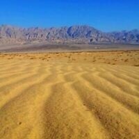 Des lignes de chemin de fer pourraient traverser la réserve naturelle de Samar Sands, dans le sud d'Israël. (Dov Greenblat, Société pour la protection de la nature en Israël)