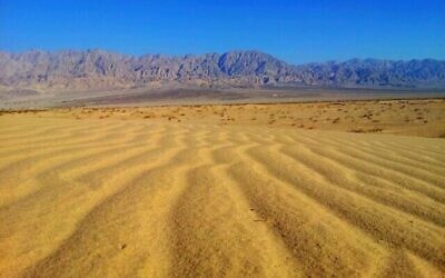 Des lignes de chemin de fer pourraient traverser la réserve naturelle de Samar Sands, dans le sud d'Israël. (Dov Greenblat, Société pour la protection de la nature en Israël)
