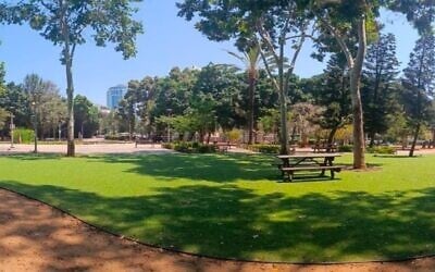 Une grande surface de gazon synthétique au parc Meir, à Tel Aviv. (Crédit : Adam Teva V'Din)
