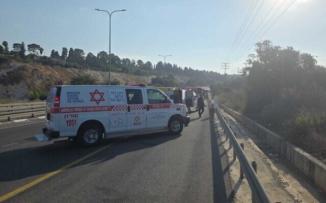 Les médecins sur les lieux d'un accident mortel près de Harish le 2 août 2025 (Crédit : Magen David Adom)