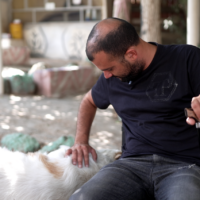 Le centre de réhabilitation Retorno propose aux soldats et réservistes diagnostiqués avec un trouble du stress post-traumatique un thérapie assistée par les animaux. (Crédit : Alexandra Vardi)