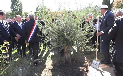 Plantation d'un nouvel olivier en hommage à Ilan Halimi, à Épinay-sur-Seine, le 17 septembre 2025, (Crédit :
NICOLAS GARCIA, HELOISE DROUET/AFPTV)