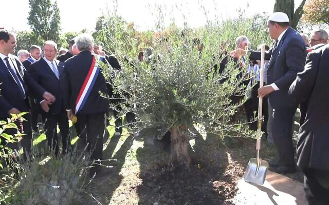 Plantation d'un nouvel olivier en hommage à Ilan Halimi, à Épinay-sur-Seine, le 17 septembre 2025, (Crédit :
NICOLAS GARCIA, HELOISE DROUET/AFPTV) Plantation d'un nouvel olivier en hommage à Ilan Halimi, à Épinay-sur-Seine, le 17 septembre 2025, (Crédit :
NICOLAS GARCIA, HELOISE DROUET/AFPTV)