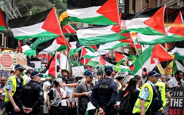 Des policiers de Nouvelle-Galles du Sud observent des manifestants pro-palestiniens brandissant des drapeaux et des pancartes lors d'un rassemblement à Sydney, le 12 octobre 2025. (Crédit : Photo de DAVID GRAY / AFP)