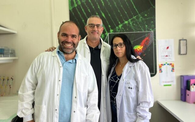 Le professeur Eran Perlson, de la Faculté Gray des sciences médicales et de la santé et de l'École Sagol des neurosciences de l'Université de Tel Aviv, au centre, avec le Dr Ariel Ionescu, à gauche, et Tal Pery Gradus, doctorant. (Crédit : Université de Tel Aviv)