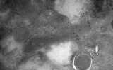 Une cellule bactérienne (forme allongée au centre) à l'intérieur d'une cellule tumorale de glioblastome, vue au microscope électronique. Les points noirs à l'intérieur de la bactérie sont des anticorps modifiés transportant des particules d'or qui se lient spécifiquement à un composant présent uniquement dans les enveloppes cellulaires bactériennes et non dans les cellules humaines. (Crédit : Autorisation/Institut Weizmann des sciences)