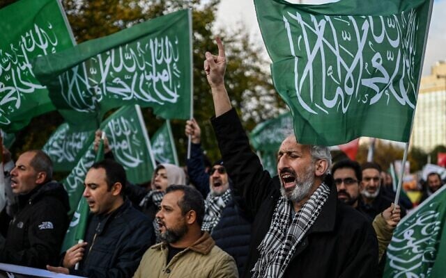 Des manifestants brandissant des drapeaux du Hamas lors d'une manifestation organisée par la Gaza Solidarity Platform, contre le soutien militaire de l'Allemagne à Israël, devant le consulat allemand, à Istanbul, le 10 novembre 2024. (Crédit : Kemal Aslan/AFP)