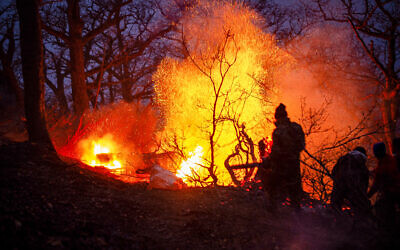 Feu de forêt à Chalus (Iran), le 21 novembre 2025. (Crédit : MEHRAB FARSAD / ISNA / AFP)