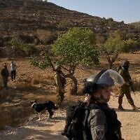 Illustration: Des soldats et des résidents d'implantations se tenant dans une zone où les Palestiniens sont empêchés de récolter des olives, dans le village de Sair, en Cisjordanie, près de Hébron, le 23 octobre 2025. (Crédit : Leo Correa/AP)