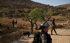 Illustration: Des soldats et des résidents d'implantations se tenant dans une zone où les Palestiniens sont empêchés de récolter des olives, dans le village de Sair, en Cisjordanie, près de Hébron, le 23 octobre 2025. (Crédit : Leo Correa/AP)