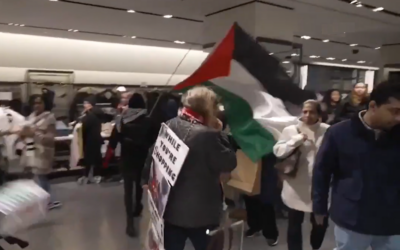 Des manifestants pénètrent dans un magasin Zara à New York, le 30 novembre 2025 (Capture d'écran)