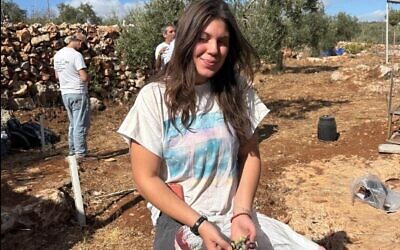 Leila Stillman-Utterback récolte des olives lors d'une cueillette en Cisjordanie à l'automne 2025. (Autorisation : Stillman-Utterback)
