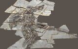 Des fossiles d'Anchiornis vieux de 160 millions d'années. (Crédit : Université de Tel Aviv)