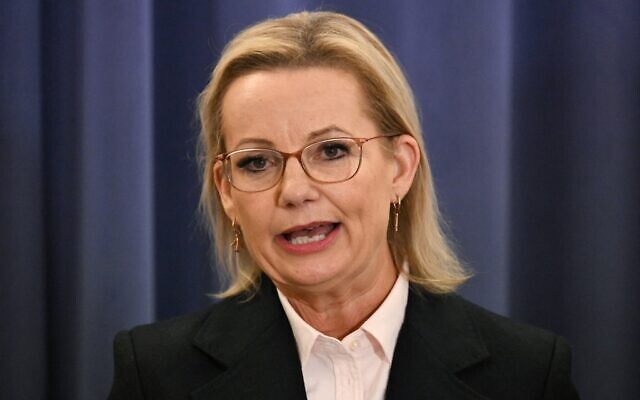 La cheffe de l'opposition australienne, Sussan Ley, s'exprimant lors d'une conférence de presse au Parlement, à Canberra, le 13 mai 2025. (Crédit : Saeed Khan/AFP)