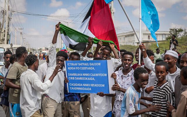 Des habitants brandissant des drapeaux somaliens et "palestiniens" et tenant des pancartes lors d'un rassemblement dénonçant la récente annonce d'Israël reconnaissant la région séparatiste du Somaliland, lors d'un rassemblement appelant à l'unité territoriale de la Somalie, au stade de Mogadiscio, à Mogadiscio, le 30 décembre 2025. (Crédit : Hassan Ali Elmi/AFP)