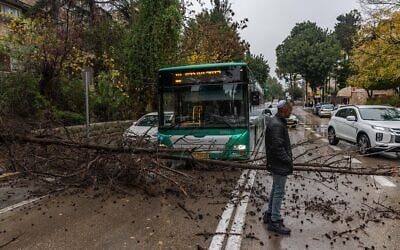 Un bus est immobilisé alors qu'un arbre s'effondre sur une route en raison des vents violents et des pluies torrentielles qui s'abattent sur Jérusalem, le 29 décembre 2025. (Crédit : Yonatan Sindel/Flash90)