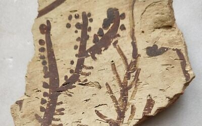 Motifs botaniques provenant d'une fouille à Arpachiyah, en Irak, aujourd'hui conservés au British Museum. (Crédit : Yosef Garfinkel) Motifs botaniques provenant d'une fouille à Arpachiyah, en Irak, aujourd'hui conservés au British Museum. (Crédit : Yosef Garfinkel)