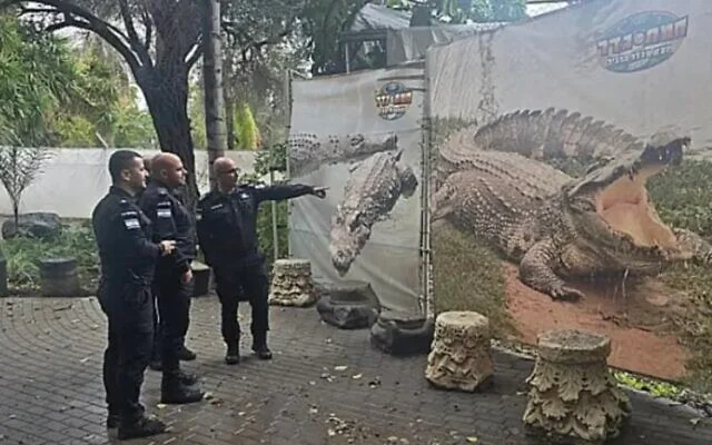 Des policiers israéliens visitent une ferme de crocodiles à Hamat Gader, le 1er janvier 2026. (Police israélienne)