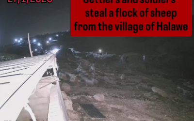 Des images de vidéosurveillance montrent des résidents d’implantations accompagnés de soldats emmenant un troupeau de moutons depuis le village palestinien de Khirbet al-Halawa, dans la région de Masafer Yatta, en Cisjordanie, le 27 janvier 2026 (Crédit : Capture d’écran/X) Des images de vidéosurveillance montrent des résidents d’implantations accompagnés de soldats emmenant un troupeau de moutons depuis le village palestinien de Khirbet al-Halawa, dans la région de Masafer Yatta, en Cisjordanie, le 27 janvier 2026 (Crédit : Capture d’écran/X)